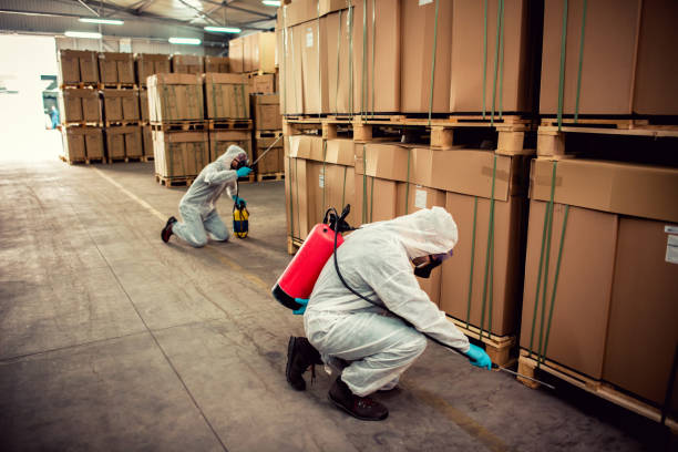 Flea Control Services in Independence, OH