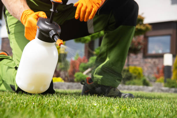 Best Pest Prevention Services  in Independence, OH
