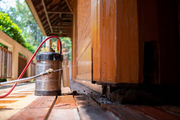 Best Best Pest Control Companies  in Independence, OH